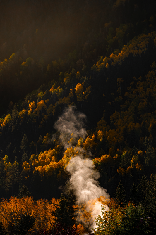 Fall Smoke