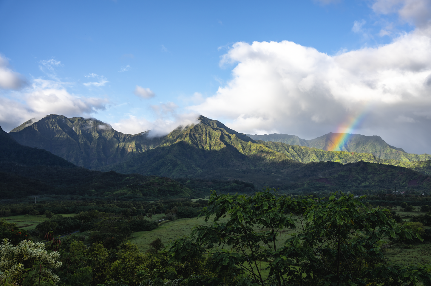 Welcome to Kauai